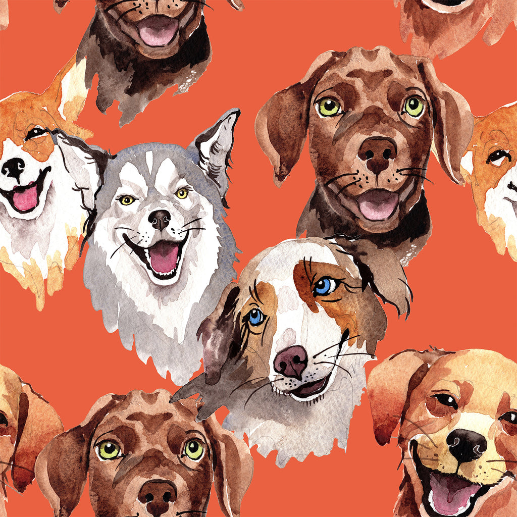 VEELIKE Cool Dog Orange Peel and Stick Wallpaper